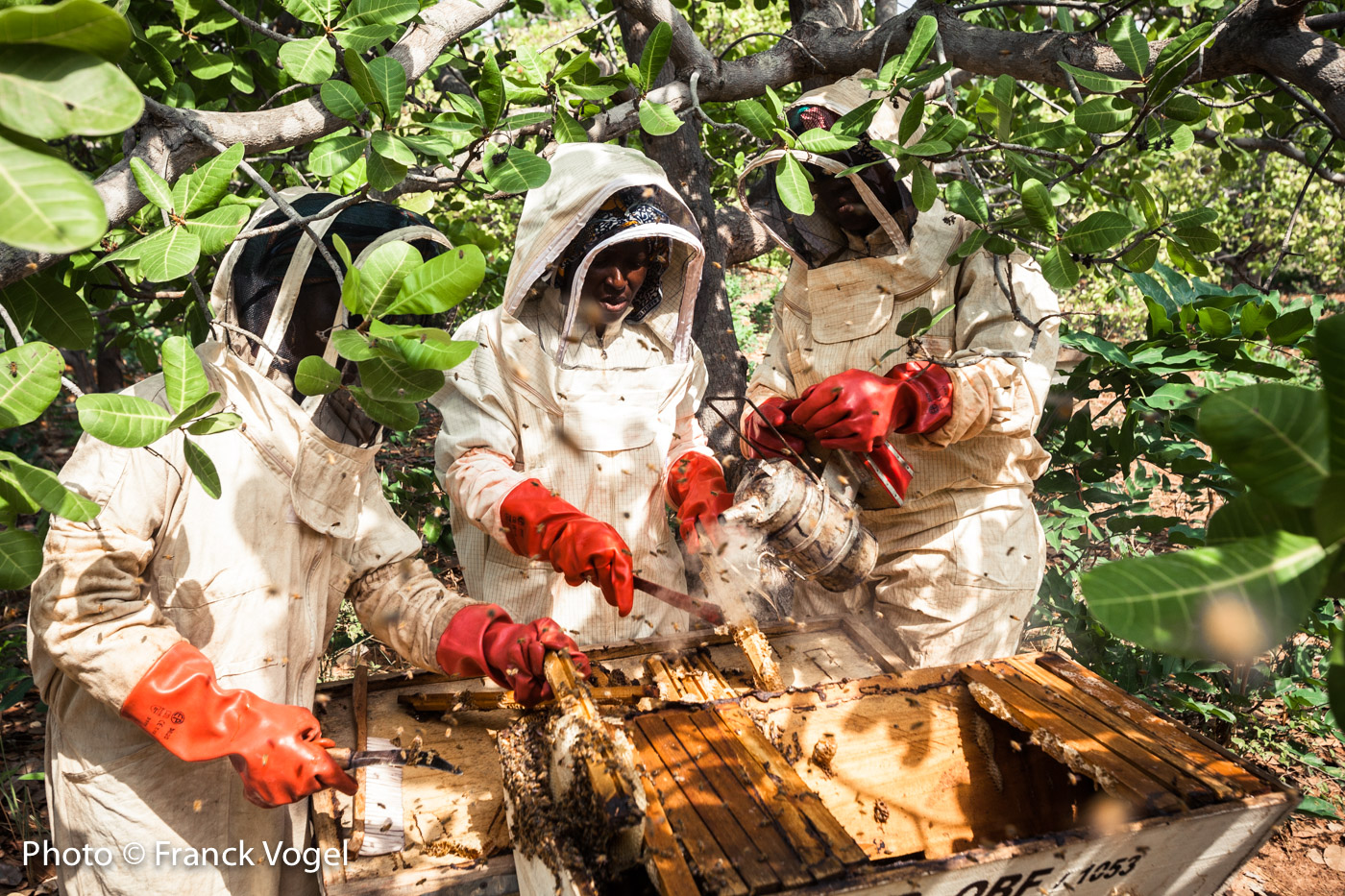 Training rural women in beekeeping