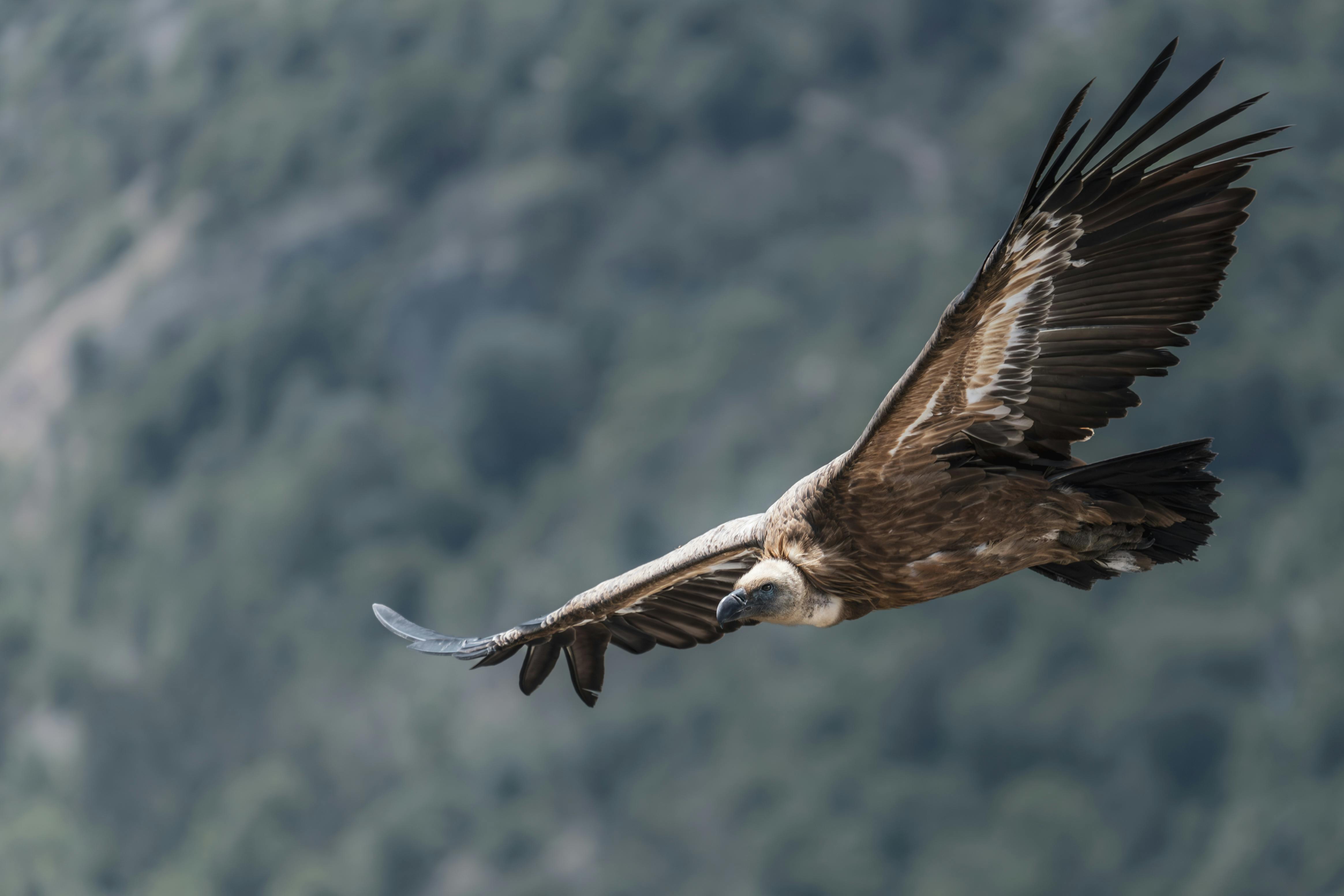 Et de 8 : une nouvelle réserve de 17 ha